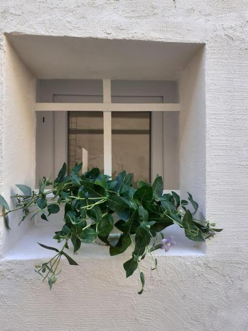 Casa Maergilu Villa Pescara Dış mekan fotoğraf